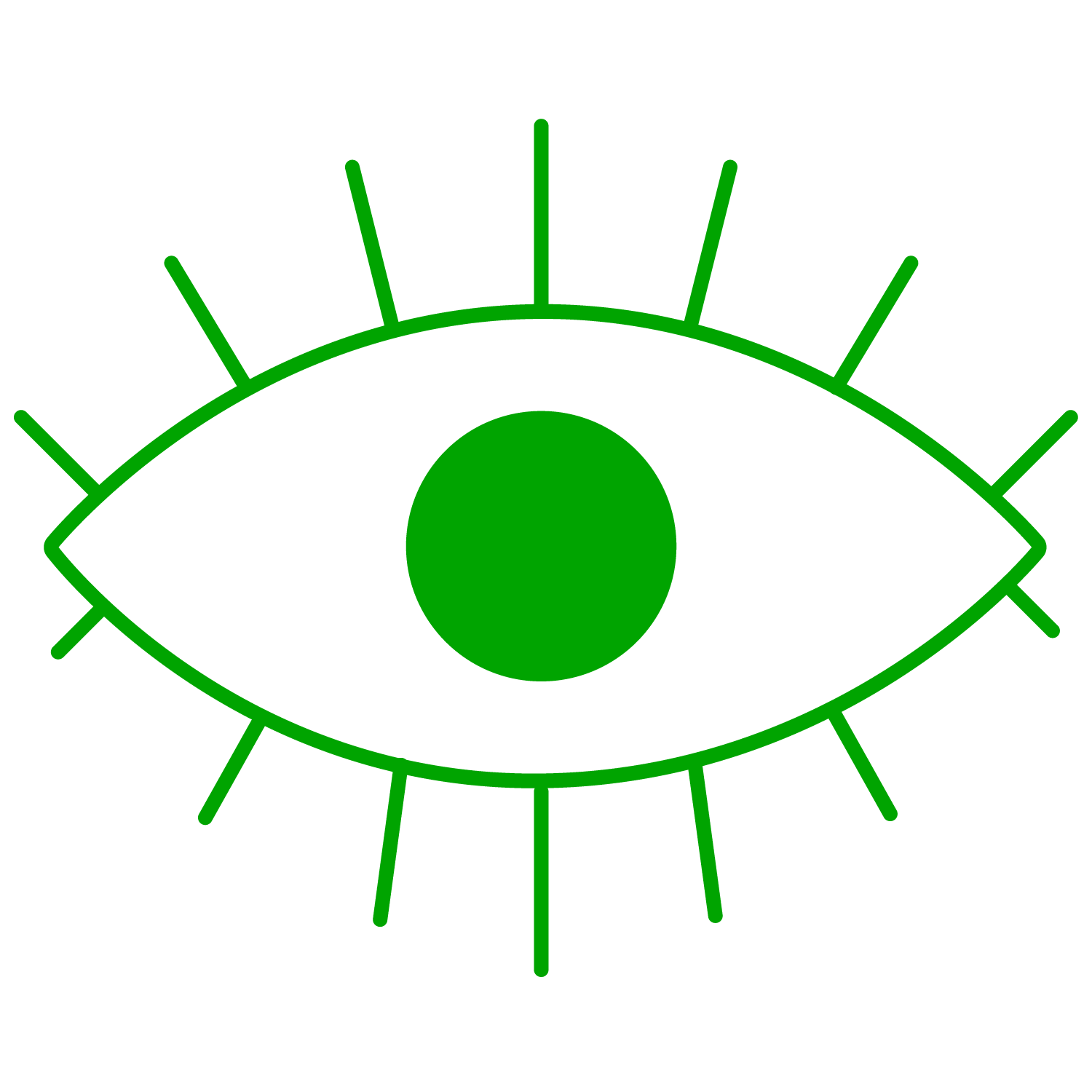 Visualizaciones interactivas